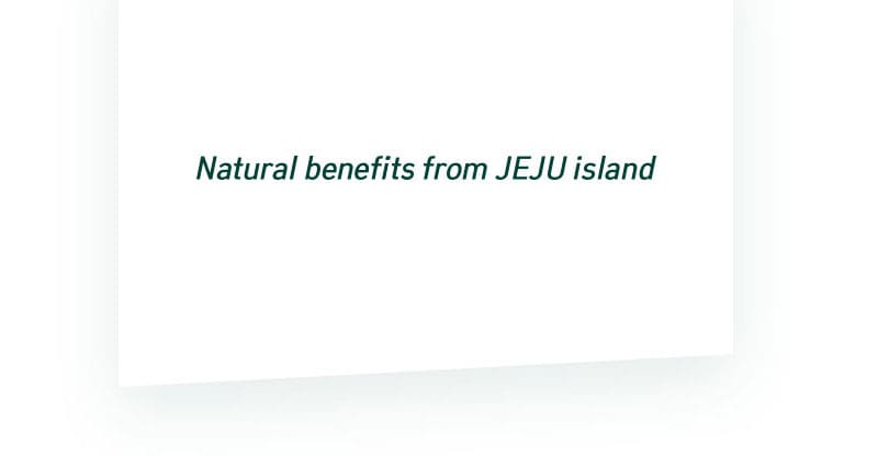Câu khẩu hiệu innisfree - Natural Benefits from JEJU island