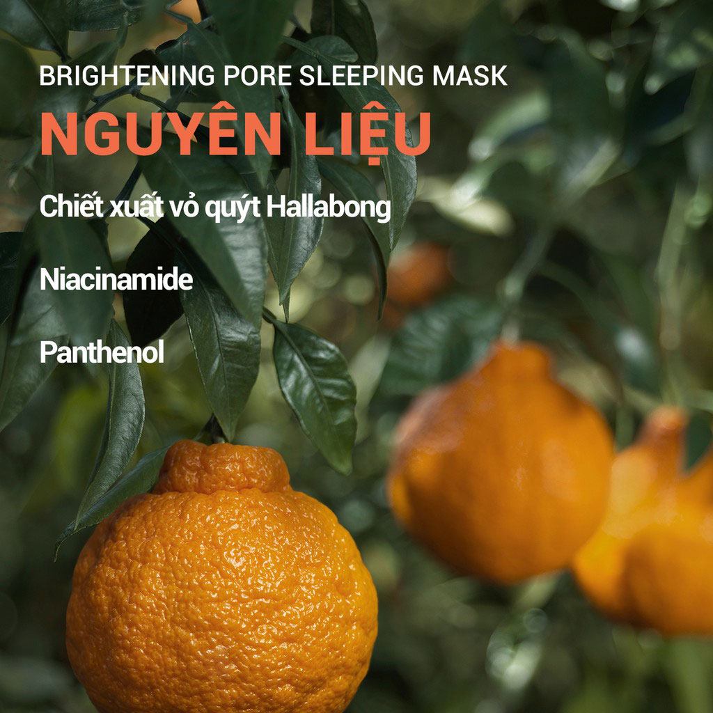 Mặt nạ ngủ Innisfree Brightening Pore Sleeping Mask dưỡng sáng da 100ml