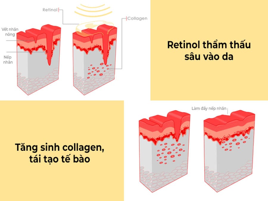 Cơ chế hoạt động của Retinol khi thẩm thấu vào da.
