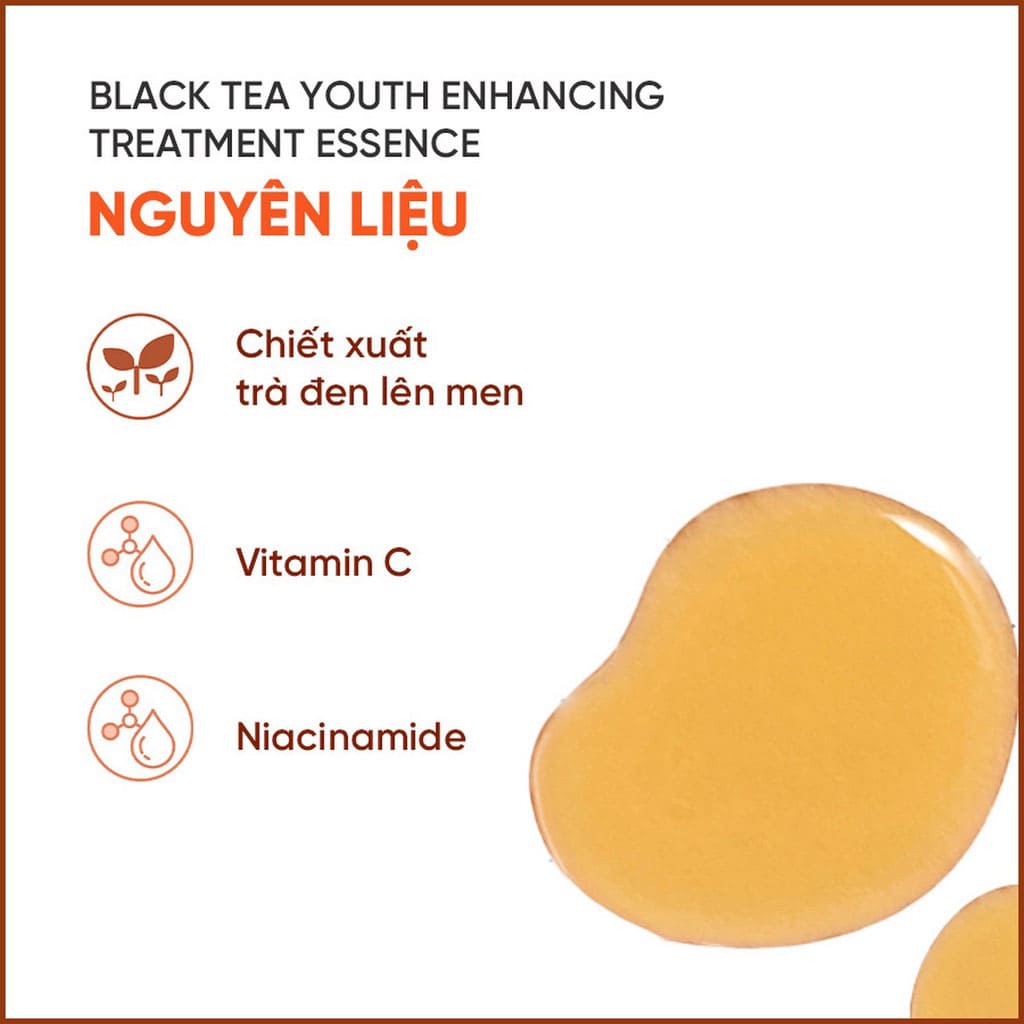 Nước dưỡng innisfree Black Tea Youth Enhancing Treatment Essence ngăn ngừa lão hóa 145ml