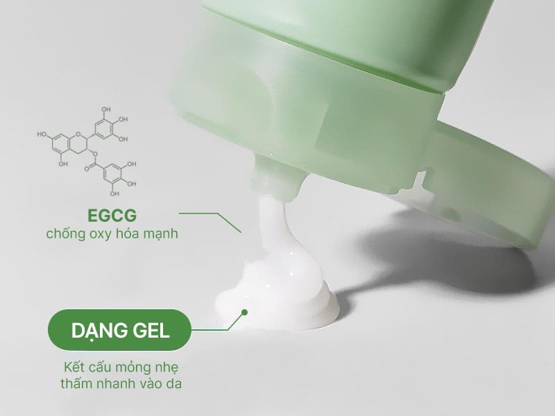 Sản phẩm có chứa hợp chất thực vật Epi Gallo Catechin Gallate (EGCG).