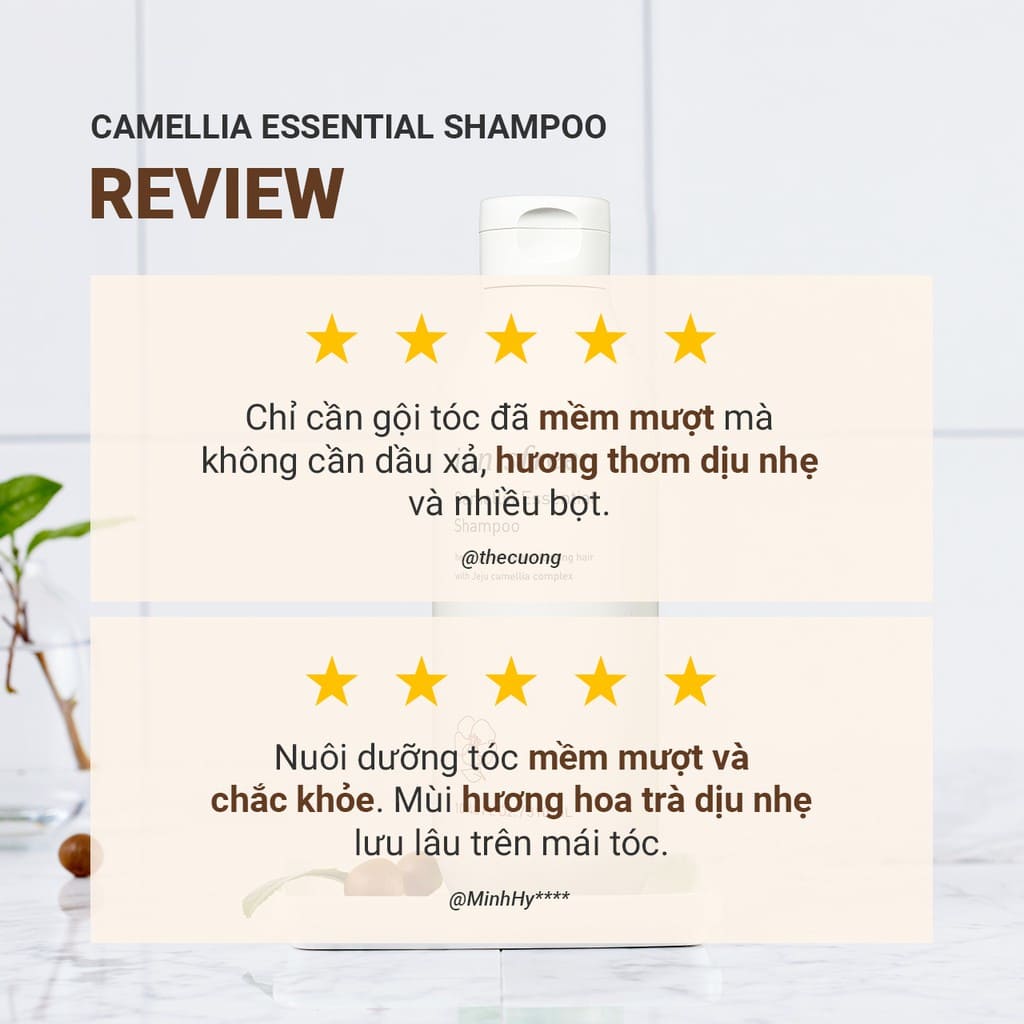 Dầu gội Innisfree Camellia Essential Shampoo nuôi dưỡng tóc 310ml