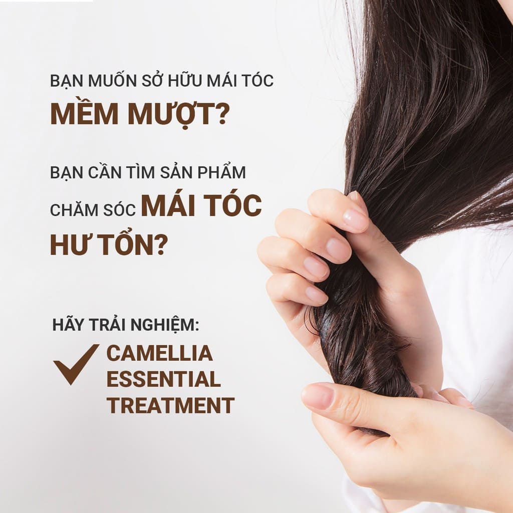 Dầu xả Innisfree Camellia Essential Hair Treatment chăm sóc tóc hư tổn 150ml